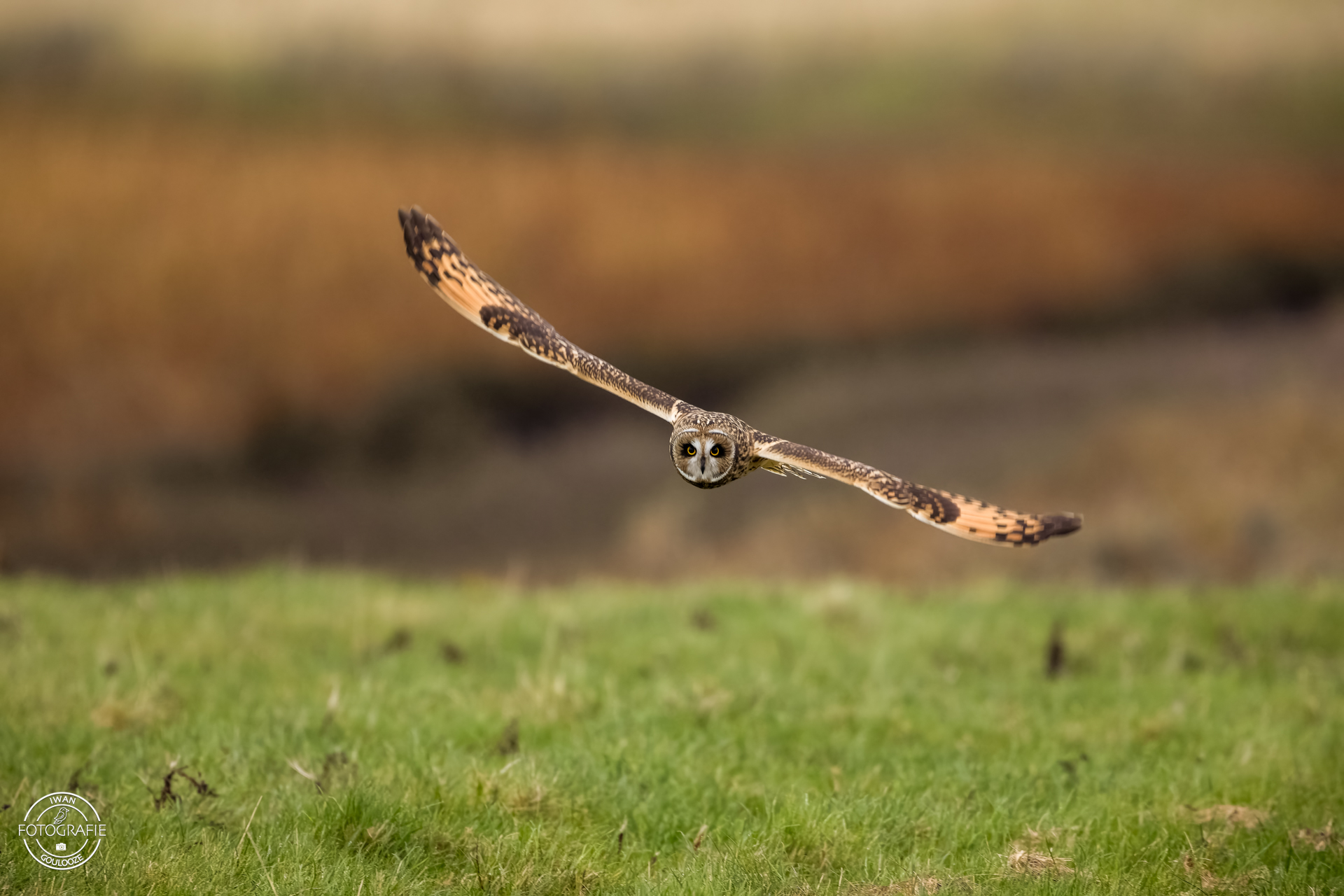 15 oktober 2022 163350 1R2A8805 bewerkt